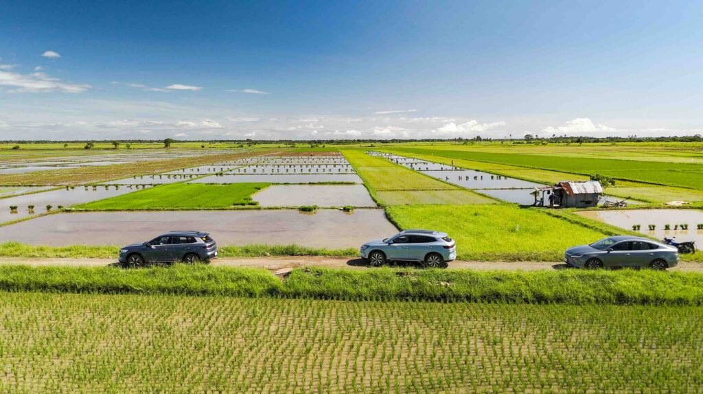 Three BYD electrified vehicles, including the Sealion 5 DM-i, drive along a narrow dirt road flanked by lush green rice fields and water paddies under a clear blue sky in rural Philippines.