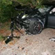 Crashed Tesla Model S with severe front-end damage on a roadside near dense foliage.